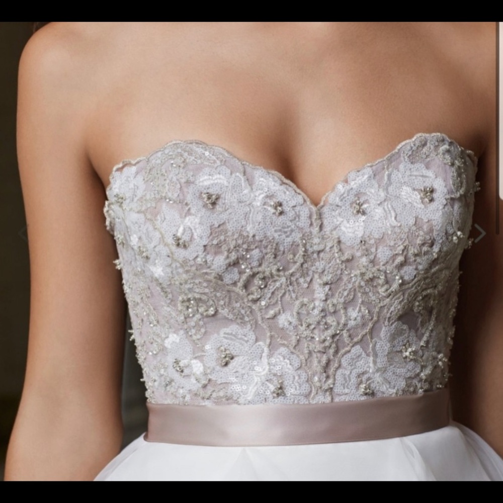 BHLDN purchased Swarovski beaded corset- worn once